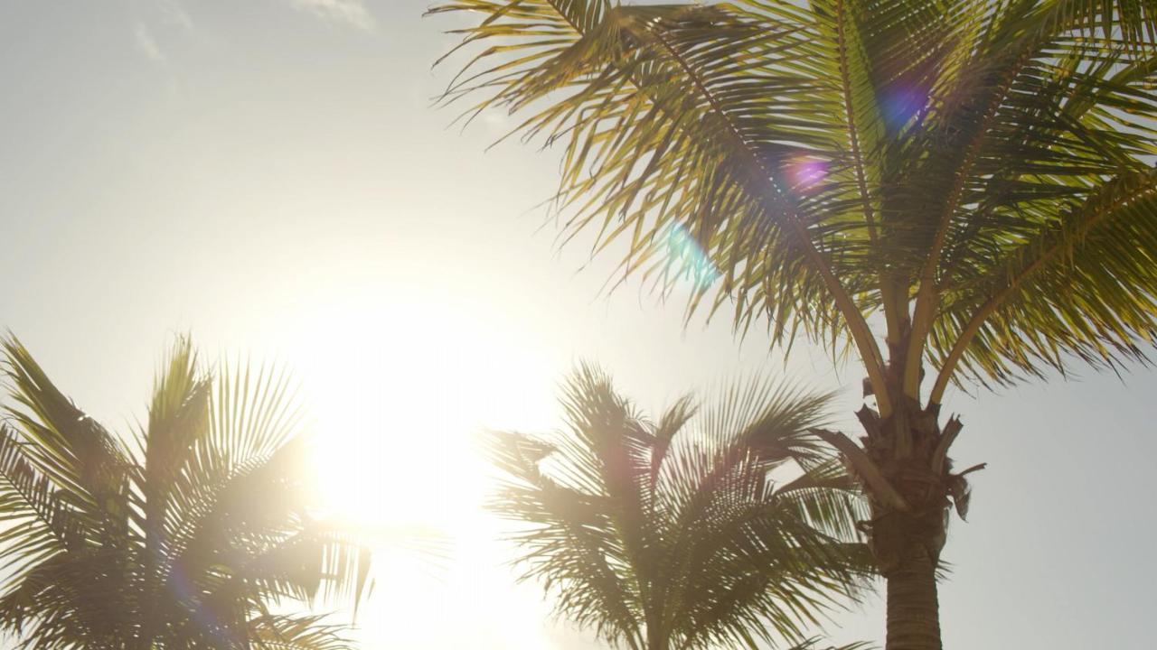 Secrets Riviera Cancun Resort & Spa (Adults Only) プエルト・モレロス エクステリア 写真